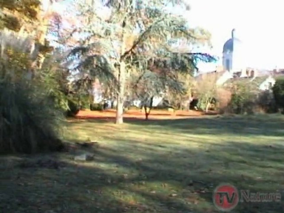 La maison des soeurs - TV Nature