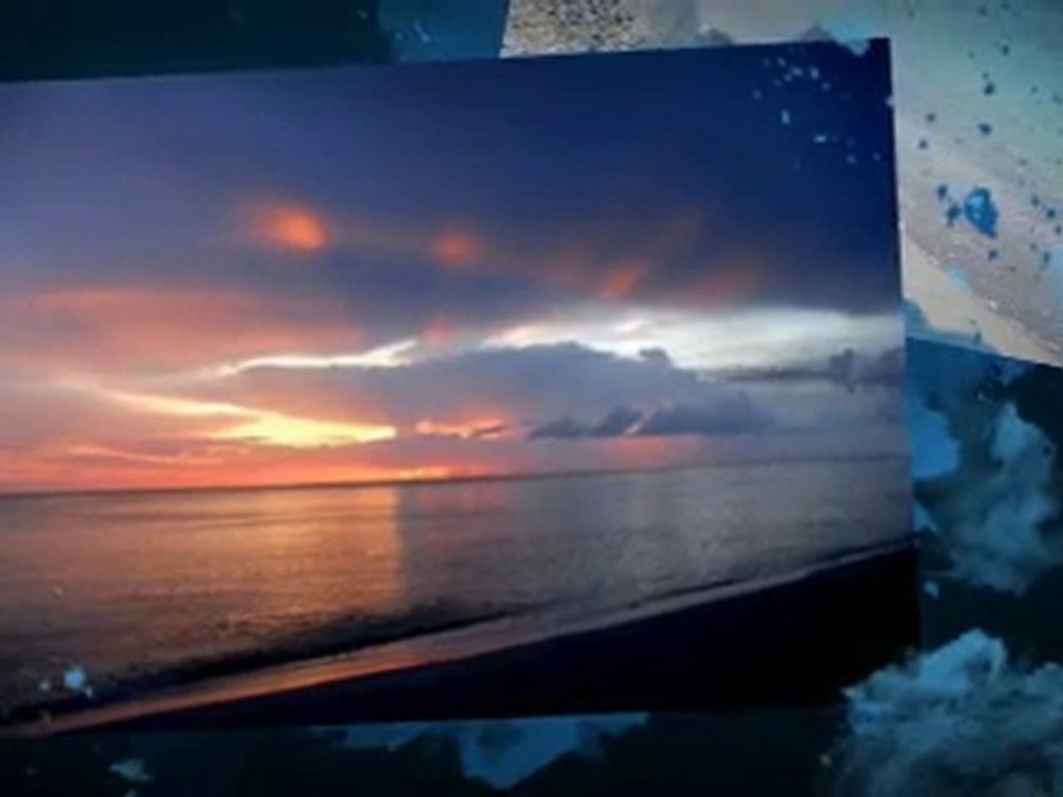 Discover Sarasota