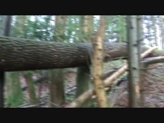 premiere video detection dans les vosges. Fusil berthier m16