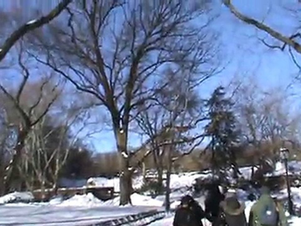 CentralPark1
