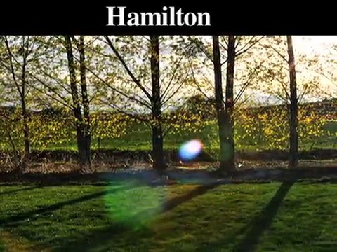 Emergency Tree Removal Service | Hamilton-Hamilton Square-M