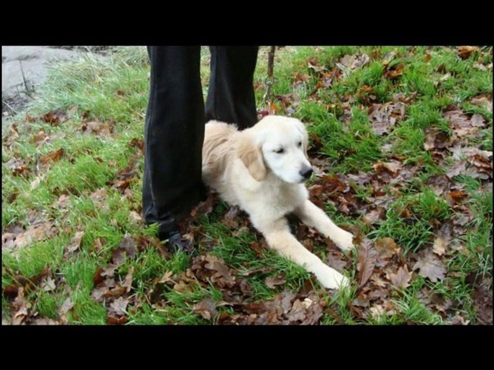 sortie éducation sur le chemin de halage