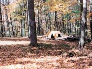 The Sweat Lodge