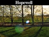 Emergency Tree Removal Service | Princeton-Hopewell-Skillma