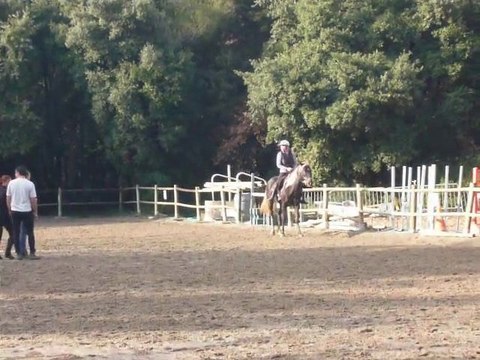 Silver Sam et moi, départ au galop