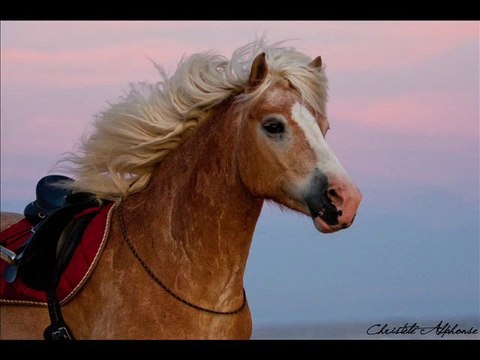 Plage 2010 avec ma Dédé et ma tite Claire