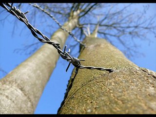 ma liberté  par christian Arnault