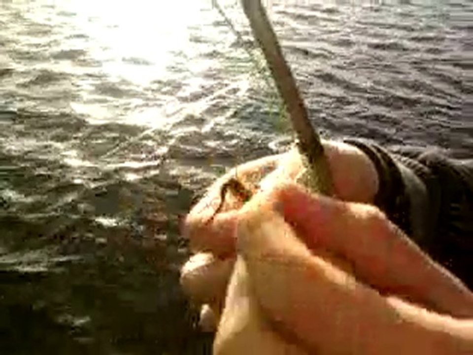 peche a la mouche mathieu 1