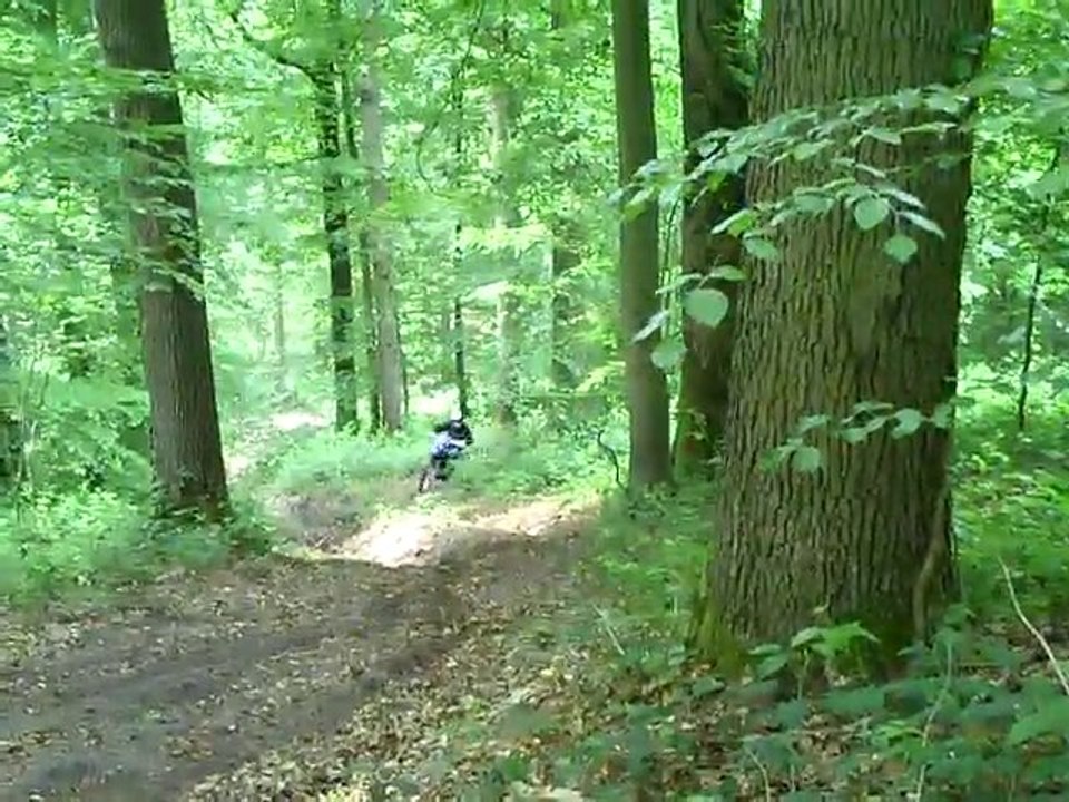 CLIP0019