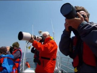 Vue du ciel- Les héros de la nature - Canada 1/6