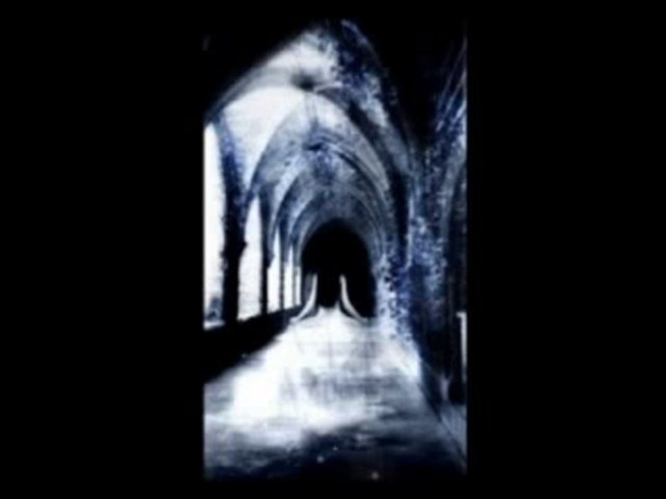 saez on a pas la thune