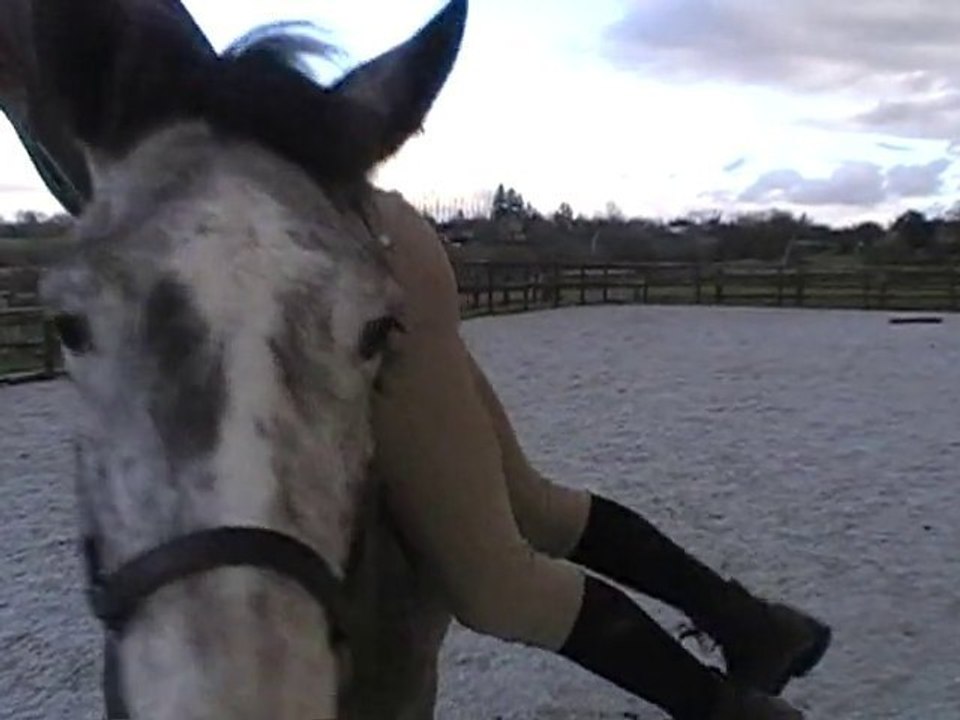 male AA premier montoir en liberté