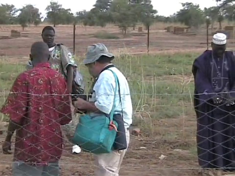 le puits et le maraîchage de Koro III, nov 2010