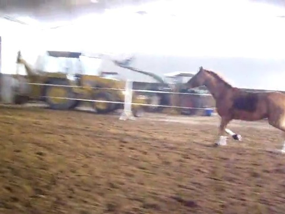 Bootsmännlein läuft frei