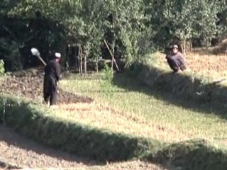 Task Force La Fayette et Pôle stabilité