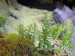 Bretagne photos diaporama