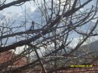 ARALIK 2010 RESİMLERİ--1--İRFAN VURAL