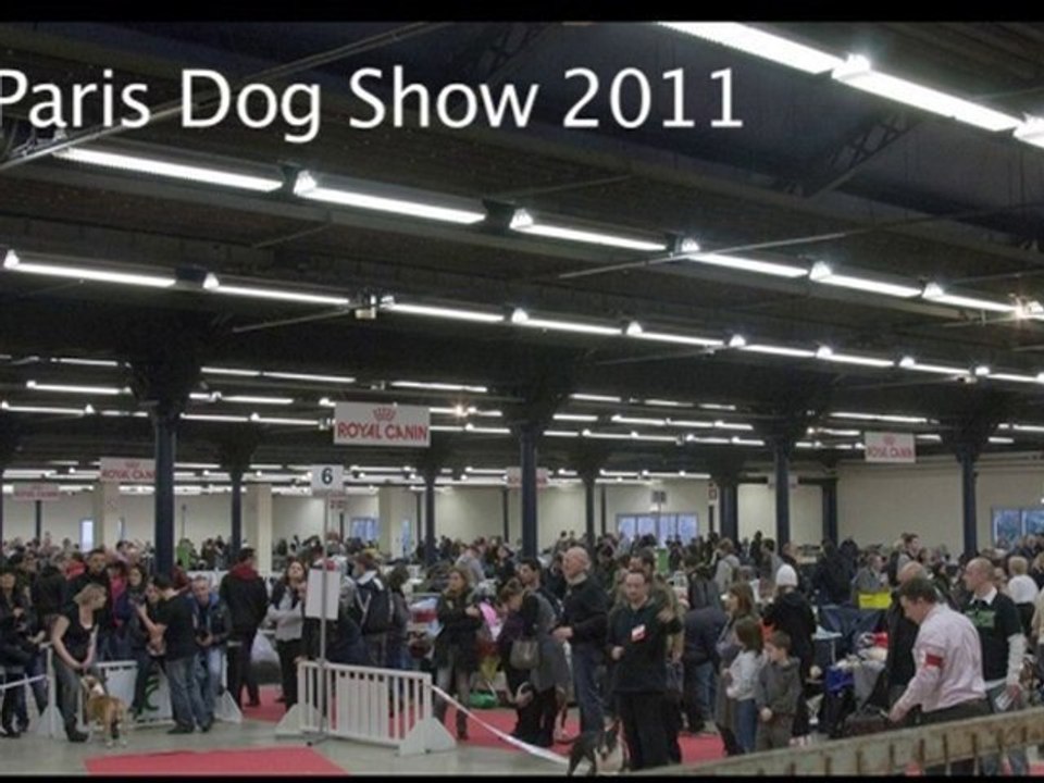 PARIS DOG SHOW 2011