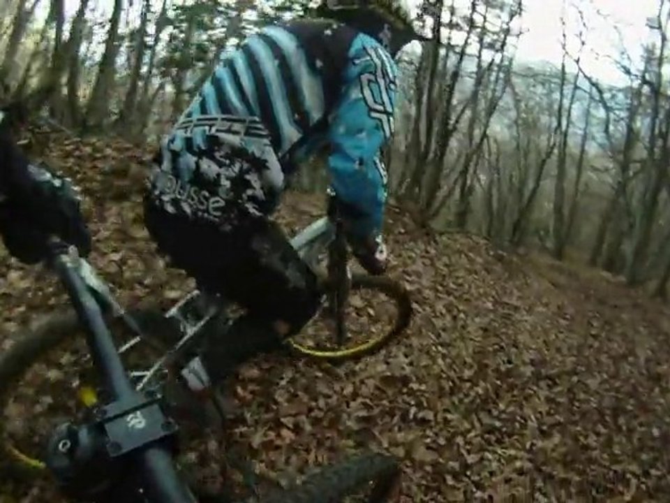 quand on aime les feuille!!!!!!!!!