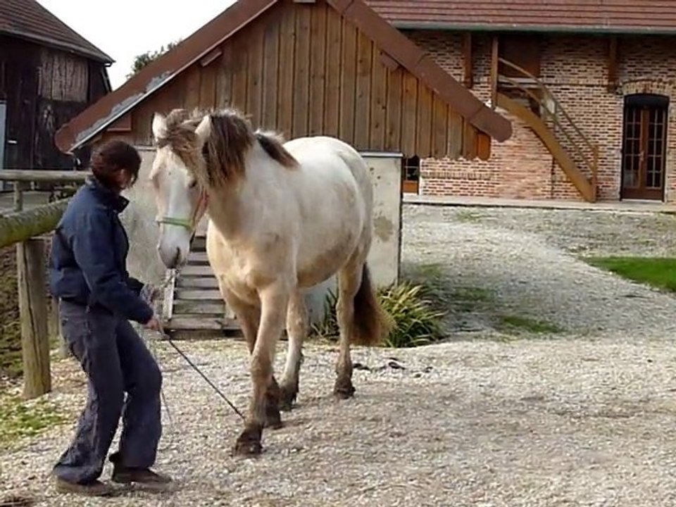 tango, début de pas espagnol