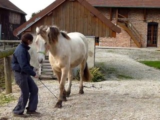 tango, début de pas espagnol