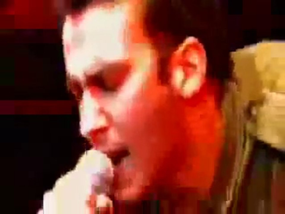 Damien Saez   Live in Zenith  Sexe