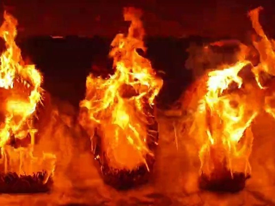 Happy new burned year 2011!