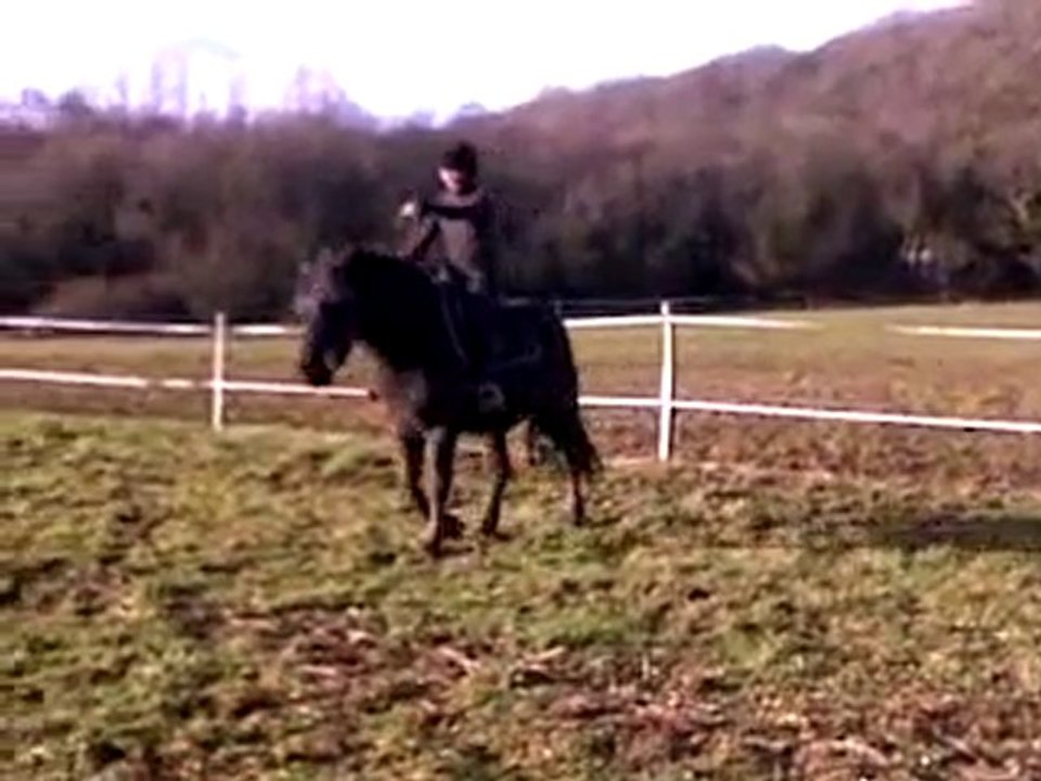 coco (2) au boulot 09/01/2011