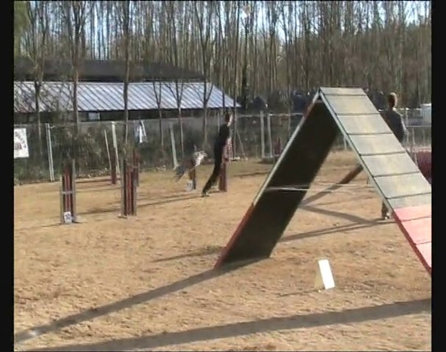 1er concours Elektra 8 et 9 janv 2011