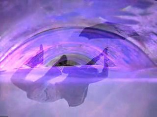 jesus to a child  Cat