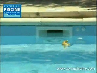 CORSE PISCINE POLYESTER MAXI POOL.flv