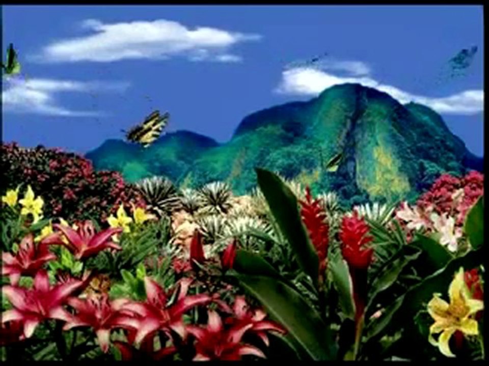 living-butterflies