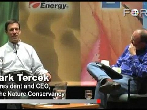 Can Green Nonprofits Benefit from Large Corporations?