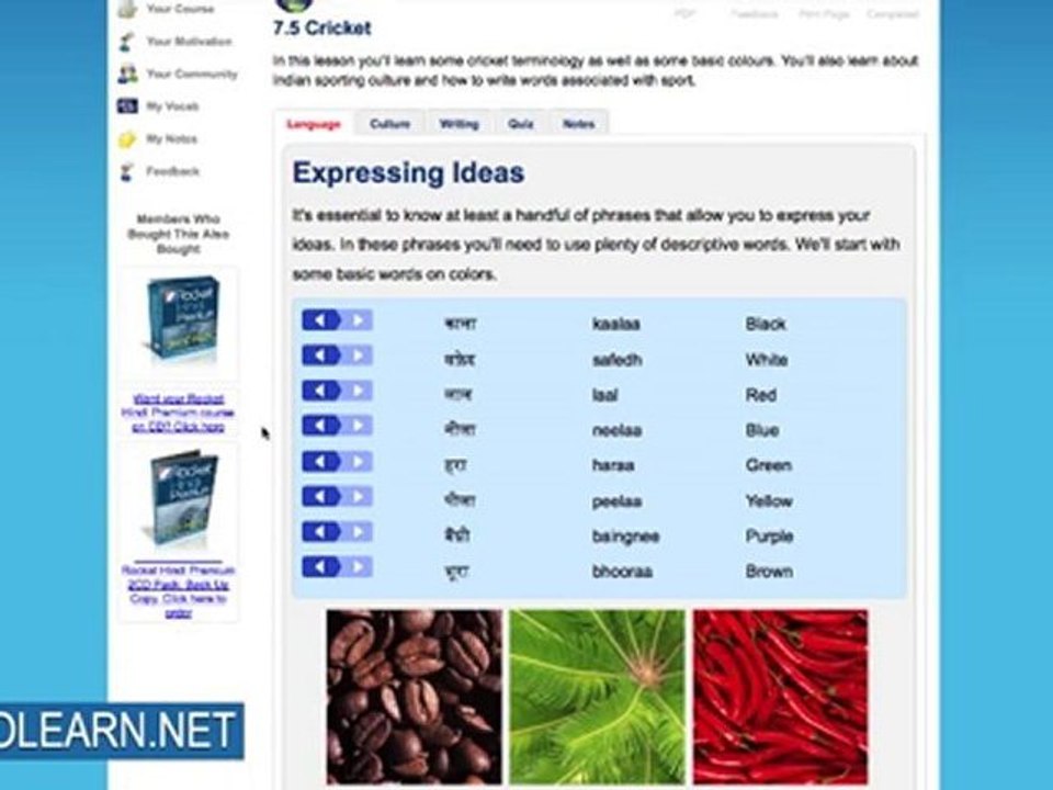 Learn Hindi Online - Rocket Hindi Review