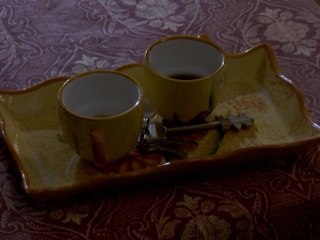 viaggi paralleli - anno 2009