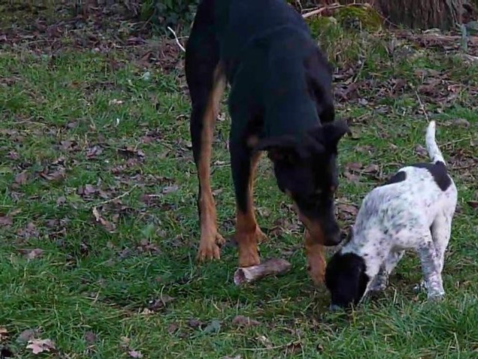 Elphee et Aïna, jeu éducatif 2