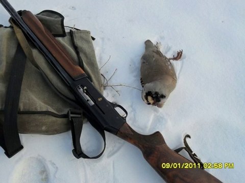 KEKLİK AVI 09-01-2011