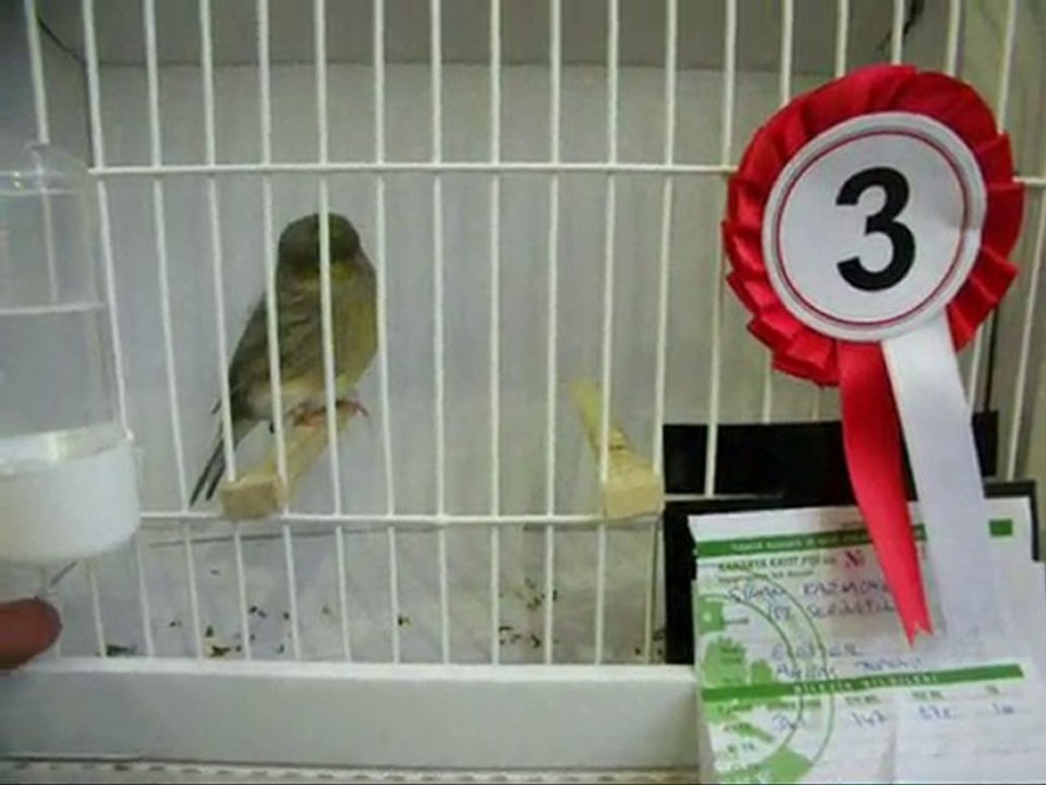 075-2010 | TÜRKİYE ŞAMPİYONASI