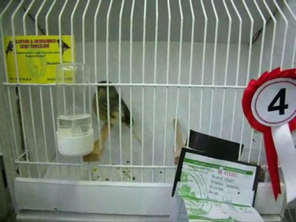 04-AHRAÇ KABAKLAR | 2010 TÜRKİYE ŞAMPİYONASI