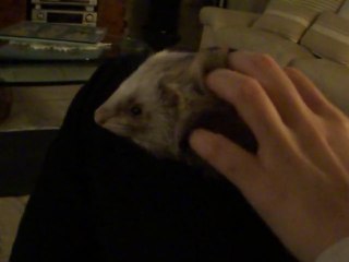 Calin et hop ca repart