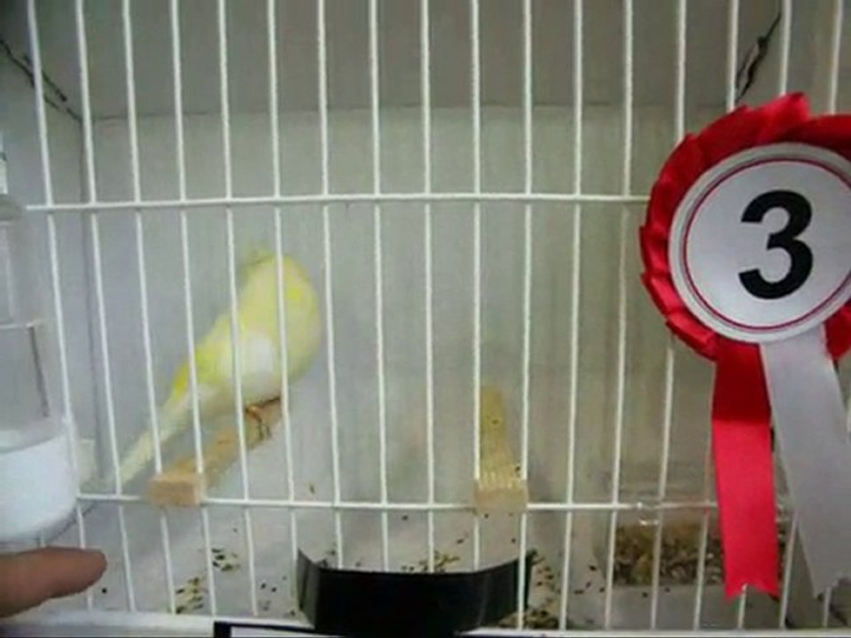 07-LİPOGROM TEPELİLER | 2010 TÜRKİYE ŞAMPİYONASI