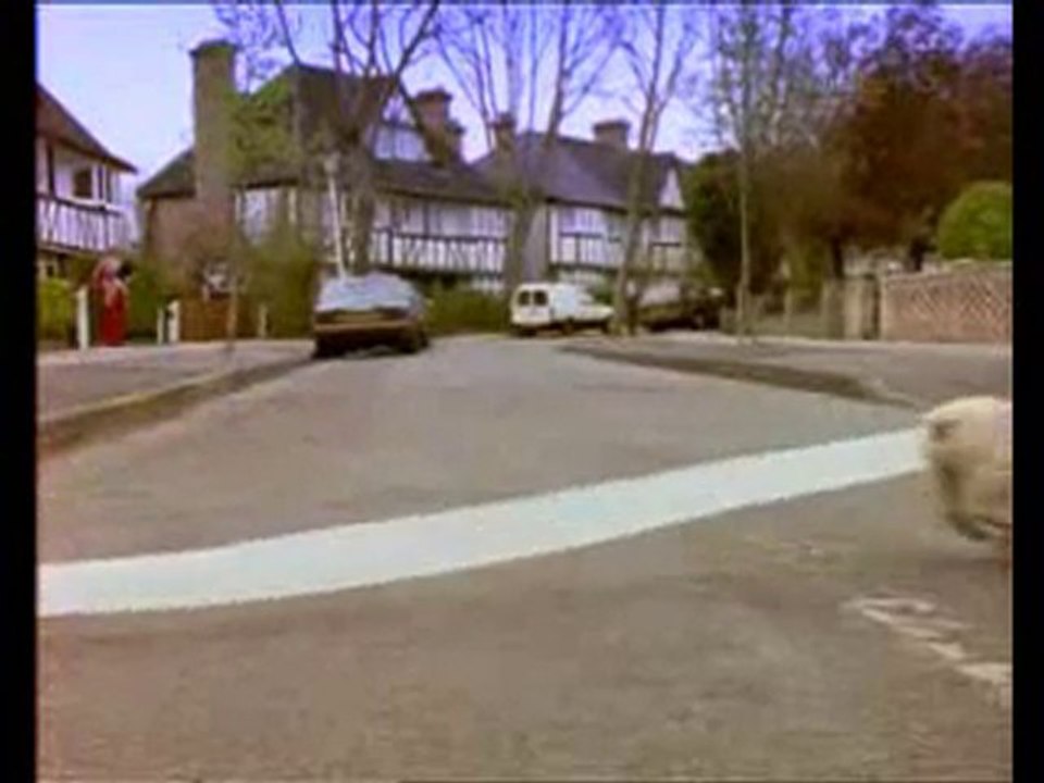 Gentil-petit-chien-chien hihihihihihi