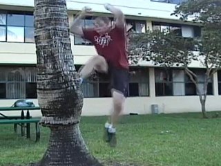 Salto mortale e facciata sulle radici