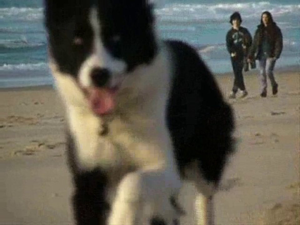 fun à la plage