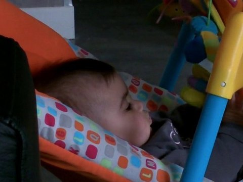 je discute avec mon abeille