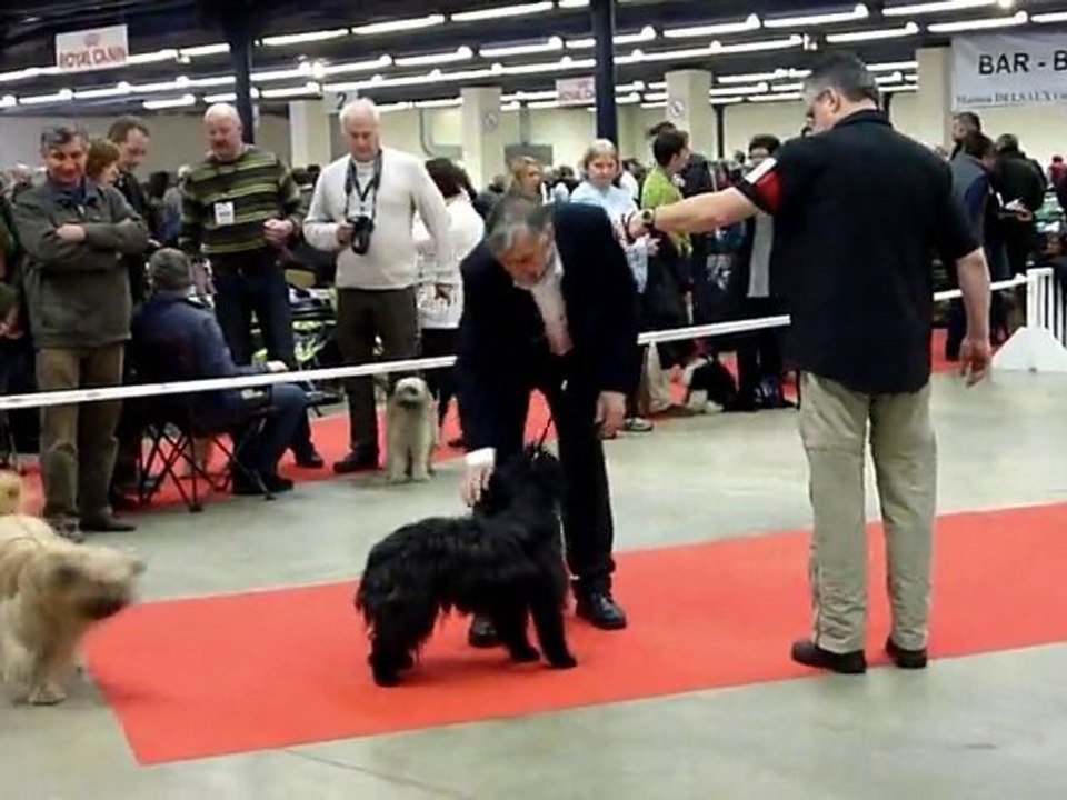 Paris Dog Show 2011