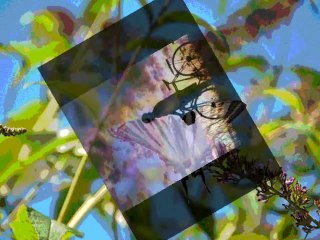 "ya bien 10 ans que je fais l'amour" de KAN AN DISTROY