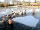 Baignade glacée pour le Club des Phoques à Berlin