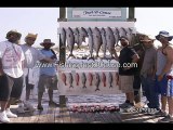 Deep Sea Fishing Destin Florida Spring Charter Boat Trips