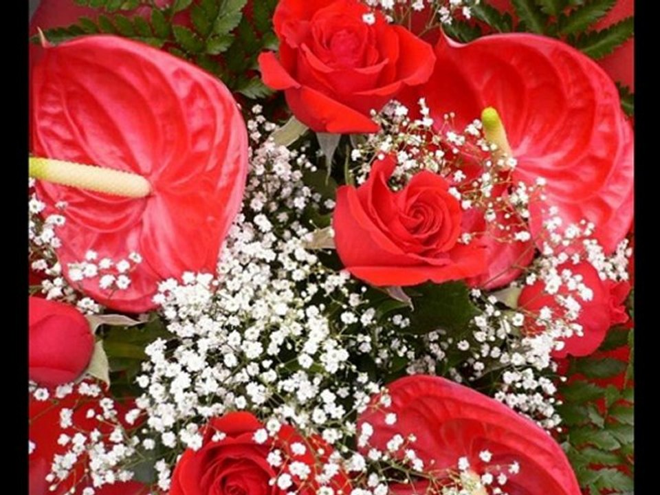 MÜZEYYEN SENAR-UD TAKSÎMİ & HABER GELMEZ GÖNÜL VİRANE KALDI